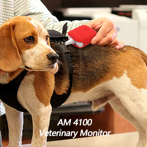 Veterinary Monitor